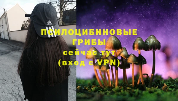 мескалин Армянск