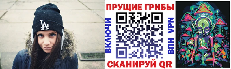 Галлюциногенные грибы Psilocybine cubensis  ссылка на мегу ТОР  Лаишево 